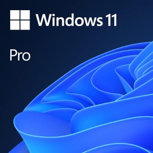 Windоws 11 Pro | Microsoft OEM System Builder | Intended use for new systems | Authorized by Microsoft - PLR Digital Products