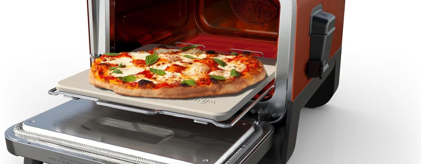 Ninja Woodfire Outdoor Pizza Oven Review