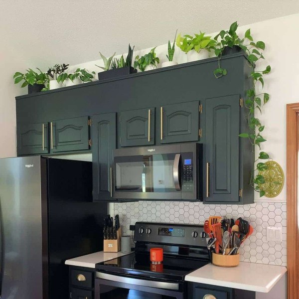 Top of Kitchen Cabinet Decor Ideas