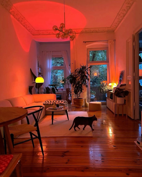 Vibey Apartment Ideas