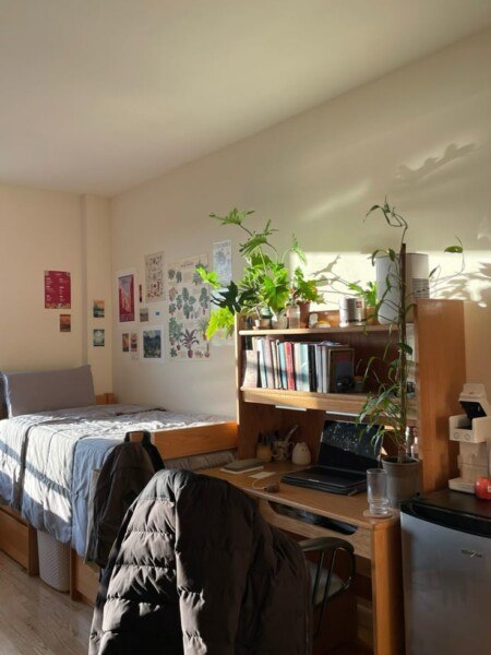 10 Dorm Room Ideas for Guys That Are Stylish & Practical
