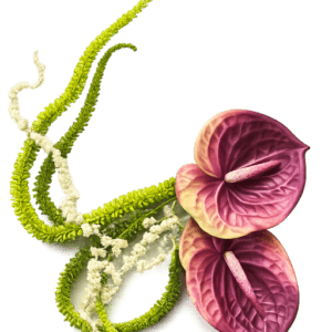 Burgundy wedding bouquet - PLR Digital Products