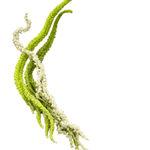 Greenery wedding bouquet
